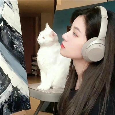 喜剧生活